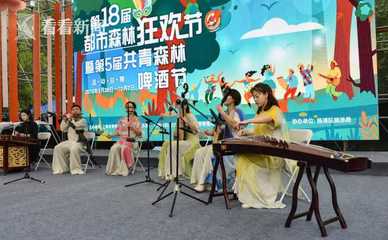 国庆长假申城公园接待游客突破650万人次，文化交流活动策划成果显著