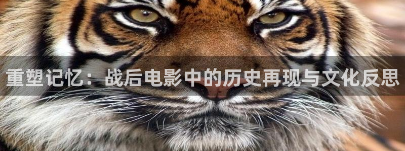 红桃影视入口在线观看：重塑记忆：战后电影中的历史再现与文化反思