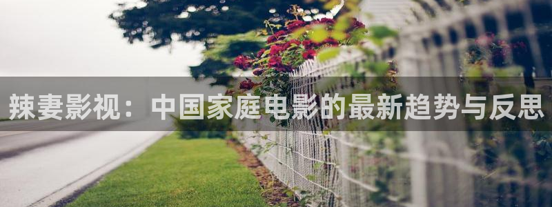 红桃影院永久入口：辣妻影视：中国家庭电影的最新趋势与反思