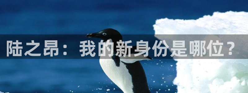蜜桃影视红桃影视：陆之昂：我的新身份是哪位？