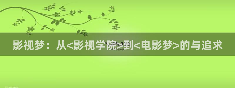 红桃影院(免费网站)：影视梦：从<影视学院>到<电影梦>的与追求