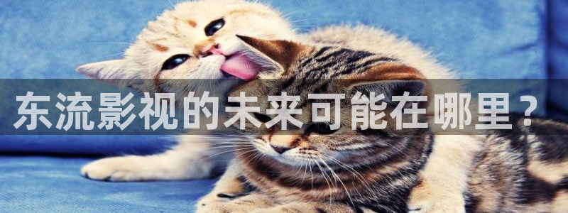 红桃影院一区：东流影视的未来可能在哪里？