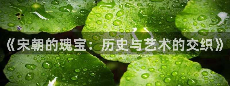 红桃影院：《宋朝的瑰宝：历史与艺术的交织》