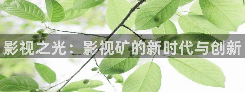 红桃影院17c：影视之光：影视矿的新时代与创新