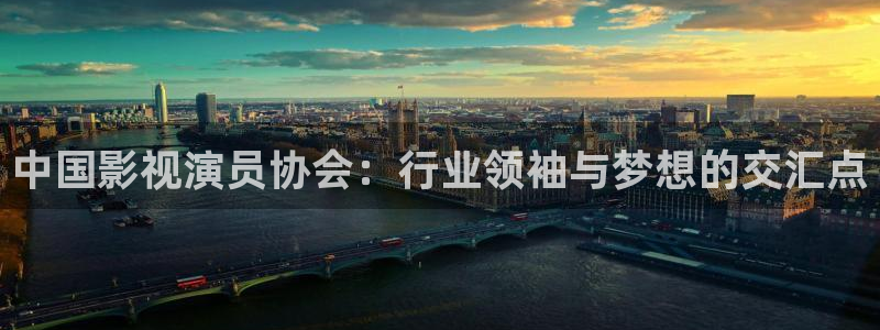 红桃私人影院入口：中国影视演员协会：行业领袖与梦想的交汇点