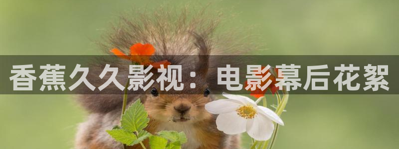 免费看电影红桃