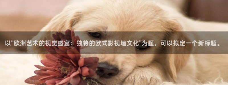 红桃视频免费电影